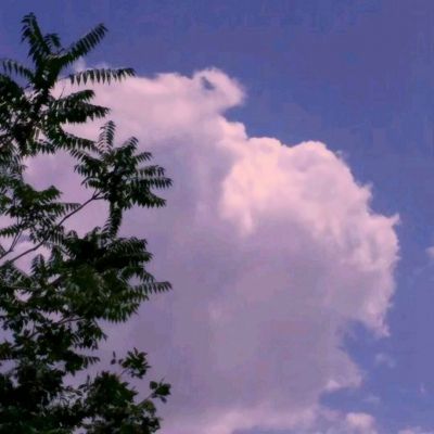 黑暗之潮契约测试服下载
